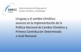 Presentación de PowerPoint - LatinClimalatinclima.org/sites/default/files/documentos/... · políticas en desarrollo en Uruguay • Apoyo a las inversiones en infraestructura predial