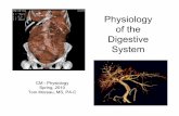 Physiology of the Digestive Systemunepa.wdfiles.com/local--files/spring-semester/GI Phys.pdf · Enteric Nervous System (ENS) • GI function proceeds in absence of extrinsic innervation