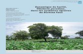 Dynamique du karité, Sibiry Albert 1, 2 Vitellaria ...bft.cirad.fr/cd/BFT_313_47-59.pdf · Introduction En Afrique soudanienne, l’homme a toujours entretenu des rapports étroits