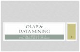 OLAP & DATA MINING - WPI · DATA MINING vs. OLAP 27 • OLAP - Online Analytical Processing – Provides you with a very good view of what is happening, but can not predict what will