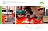 BP საქართველოში მდგრადი განვითარების ანგარიში 2012 · PDF file BP საქართველოში
