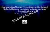 Emerging Roles of Protists in Deep Ocean and O2-depleted ......Emerging Roles of Protists in Deep Ocean and O 2-depleted Marine Habitats and Implications for Carbon and other Nutrient