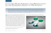 Cultured Pearl Farming and Production in the Federated ... · feasibility of a domestic cultured pearl industry. Since then a number of pilot projects and initiatives in the FSM have