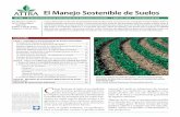 Suelos: El Manejo Sostenible long suelos.pdfEntendiendo los principios por los cuales fun-cionan los suelos nativos puede ayudar a los agricultores a desarrollar y mantener suelos