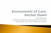 Vicki Brinsko Director Infection Prevention & Control ... · Director Infection Prevention & Control Vanderbilt University Medical Center ... of care to Ebola virus-infected patients