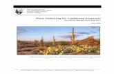 Plant Gathering for Traditional Purposes Environmental ... · O’odham Nation (TON) to approve the gathering of plant parts, to include saguaro cactus fruit, saguaro ribs, and cholla