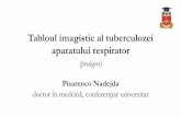 Tabloul imagistic al tuberculozei aparatului …...aparatului respirator … (prelegeri) Pisarenco Nadejda doctor în medcină, conferenţiar universitar Tuberculoza pulmonară primară
