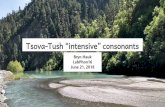 Tsova-Tush “intensive” consonants...The claim Previous researchers: these are not simply long/geminates. Therefore, the term “intensive” or “strong” is justified. Common