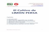 El Cultivo de LIMÓN PERSA 1 - westanalitica.com.mxwestanalitica.com.mx/wp-content/uploads/2018/05/El-Cultivo-de-LIMÓN... · EJEMPLO DEL REPORTE DE ANÁLISIS DE FERTILIDAD DE SUELO