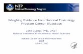 Weighing Evidence from National Toxicology Program Cancer .../media/Files/Activity Files/Environment... · EW20-32 GD16 to birth (mice), GD 18 to birth (rat) secretion is possible