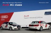 Audi - Normal Audi - Bold Audi - Ex Normal Audi - Ex …Audi - Normal Audi - Ex Normal Audi - Ex Bold 2017 Fuji Champion Race Series Audi A1 class Audi - Bold Audi Red 0/100/80/5 Audi