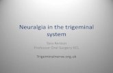 Neuralgia in the trigeminal system - Orofacial Pain pain... · Neuralgia in the trigeminal system Tara Renton Professor Oral Surgery KCL Trigeminalnerve.org.uk . Neuralgia ˌnjʊəˈraldʒə