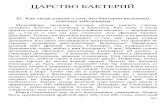 ЦАРСТВО БАКТЕРИЙmumi-teacher.narod.ru/School/Botany-11/docs/Bacteria...103 ЦАРСТВО БАКТЕРИЙ 1. Как люди узнали о том, что бактерии