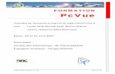 FORMATION PcVue2007 v2-1japoly.web.free.fr/supervision/PCvue/FORMATION PcVue2007_v2-1.pdf · Généralités 1. Structure de PcVue 1.1. Généralités sur la Clé de Protection et