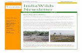 IndiaWilds Newsletter · The corporate in question, Adani group, has been accused of blatantly destroying the mangrove ecosystem to set up its Mundra SEZ. The MoEF (Ministry of Environment
