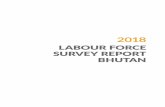 | labour force survey report, bHutaN · 2018 | labour force survey report, bHutaN v This Report presents the results of the 2018 Labour Force Survey (LFS) conducted in the months