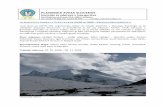 PLANINSKA ZVEZA SLOVENIJEka.pzs.si/javno/odprave/porocilo - tukuce peak 2008.pdf · Himalaji. V bazi smo preživeli 19 dni. Prva preizkušnja odprave je bila aklimatizacija na višino