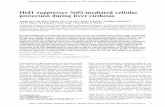 Hrd1 suppresses Nrf2-mediated cellular protection …genesdev.cshlp.org/content/early/2014/03/13/gad.238246...Hrd1 suppresses Nrf2-mediated cellular protection during liver cirrhosis