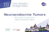 Neuroendocrine Tumorsdoctaforum.com/caom/2017/presentaciones/Sesion 4.3.pdf · watery diarrea, hipokalemia, achloridria ... pathway (WES) Sporadic Si-NETs: 29% PI3K-mTOR genetic alterations