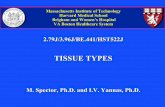 TISSUE TYPES - Massachusetts Institute of Technologydspace.mit.edu/.../contents/lecture-notes/l2_tissue_types.pdf · TISSUE TYPES M. Spector, Ph.D. and I.V. Yannas, Ph.D. The Cell