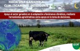 HACIA UNA GANADERÍA Foto: Convenio CIAT-MADR ...ganaderiacolombianasostenible.co/web/wp-content/... · HACIA UNA GANADERÍA CLIMÁTICAMENTE INTELIGENTE : Baja producción de biomasa,