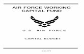 AIR FORCE WORKING CAPITAL FUND - GlobalSecurity.org · Capital Budget Input Report Air Force Working Capital Fund FUNDSB Supply Management Activity Group Fiscal Year (FY) 2005 Budget
