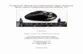 Freshwater Mussel Assessment in the Upper Nottoway River ... · Freshwater Mussel Assessment in the Upper Nottoway River and its Tributaries on Fort Pickett, VA Page 3 Introduction