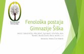 Fenološka postaja Gimnazije Šiška...zelene barve, poleti temnejših zelenih odtenkov, jeseni odpadejo Cvetovi, socvetje: Cvetovi manj opazni, ločeni moški (rumeni) in ţenski
