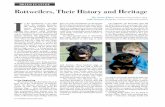 ROTTWEILERS, THEIR HISTORY & HERITAGE | …...BREED FEATURE Rottweilers, Their History and Heritage By Joan Klem, Rodsden Rottweilers, Reg. With Suzan Guynn, Cammcastle Rottweilers