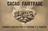 libro sul cacao - Fairtrade Italia · del cacao il futuro La domanda di prodotti a base di cioccolato, oggi attestata attorno ai 3,5 mil-ioni di tonnellate l’anno, continua ad aumentare