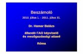 Dr. Hamar Balázs állandó FAO képvisel ő¡moló 2010... · agrár külkereskedelem A kereskedelmi forgalom terén Olaszország továbbra is biztos piaca lesz a magyar cégeknek,