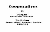 INIINNIN PUNJABPUNJAB · PROFILE OF THE PUNJAB PROVINCIAL COOPERATIVE BANK LTD. (PPCBL) The Cooperative Credit Sector has only one Apex Financing Institution in the Province i.e.,