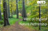 West of England Nature Partnership · Nature Recovery Mainstreaming nature-based health services A thriving and well-connected natural environment in the West of England that A joined-up