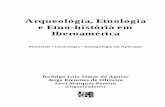 Arqueologia, Etnologia e Etno-história em Iberoaméricalivros01.livrosgratis.com.br/gd000028.pdf · para a arqueologia, etnologia e etno-história, e seus campos interdisciplinares.