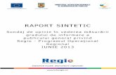 RAPORT SINTETIC - fonduri-ue.ro · • Mai puțin de jumătate dintre persoanele intervievate declară că au auzit de REGIO – Programul Operațional Regional. • Datele indică