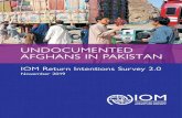 pakistan.iom.int · 2 Undocumented Afghans in Pakistan: IOM Return Intentions Survey 2.0 Undocumented Afghans in Pakistan: IOM Return Intentions Survey 2.0 © 2019 International ...