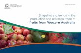 Snapshot and trends in the production and overseas …...8 Snapshot and trends in the production and overseas trade of fruits from Western AustraliaA drop in plum exports in recent