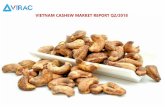 VIETNAM CASHEW MARKET REPORT Q2/2018 - VIRACviracresearch.com/.../uploads/...report-Q2.2018.pdf · Report Summary Cashew is mainly planted in India, Ivory Coast, Brazil and Vietnam.