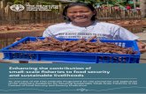 Enhancing the contribution of small-scale fisheries …We play an important catalytic role by supporting and equipping governments, fisher and fish worker organisations, academia,