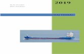 Nesreča ladje »NEPTUNE THELISIS«...SOLAS Mednarodna konvencija o varovanju človeškega življenja na morju STCW International Convention on the Standards of Training, Certification