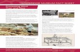 TROWBRIDGE MUSEUM FACT SHEET · In woollen cloth, the wool fibres lie in different directions and the finished cloth has a fluffy appearance, as in TROWBRIDGE MUSEUM FACT SHEET woollen