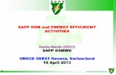 SAPP DSM and ENERGY EFFICIECNY ACTIVITIES...1 SOUTHERN AFRICAN POWER POOL SAPP DSM and ENERGY EFFICIECNY ACTIVITIES Readlay Makaliki (ZESCO) SAPP DSMWG UNECE GEE21 Geneva, Switzerland