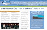 ¿REAPERTURA DE LOS POZOS DE JAMAICA? P L Dpwwd.org/wordpress/wp-content/uploads/2017/05/2015Newsletter-Esp.pdfLos dispositivos de doble válvula de control de contraflujo (DCVA) evitan