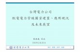 台灣電力公司 配電電力管線圖資建置、應用現況 及未來展望duct.cpami.gov.tw/pubWeb2/pdf/2k11d10.pdf · 台灣電力公司 配電電力管線圖資建置、應用現況