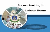 Focus charting in Labour Room - Mahidol University...Focus charting in Labour Room พยาบาล นางว ฒนา น นทกส กร งานการพยาบาลส