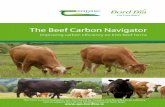 Beef Carbon Navigator Input Sheet The Beef Carbon Navigator · 2019-06-25 · The Beef Carbon Navigator Improving carbon efficiency on Irish beef farms The Farm Carbon Navigator was