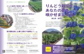 知っておきたい、りんどう栽培のあれこれ りんどう栽培で あな …home.ja-ashin.or.jp/common/pdf/products/cultivation_rindou.pdf · 栽培できます。岡山県の経営指標では2～3人で50aの栽培が可能としていますが、