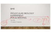 BME MOLECULAR BIOLOGY EXPERIMENT PCR & SEEDING · 2017-09-02 · bme molecular biology experiment pcr & seeding skku bme 3rdgrade, 2ndsemester