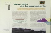 Cantabria Mas allá · PDF file chamiento de las riquezas de la Comunidad. Si exceptuamos los casos de Santander y Torrelavega, la mayor parte de la población se encuentra dispersa