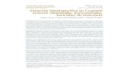 Cryptotis aroensis Soricidae) from Venezuela DOI: 10.12933 ... · DOI: 10.12933/therya-14-196 Intraspecific variation in Cryptotis aroensis (Mammalia, Soricomorpha, Soricidae) from